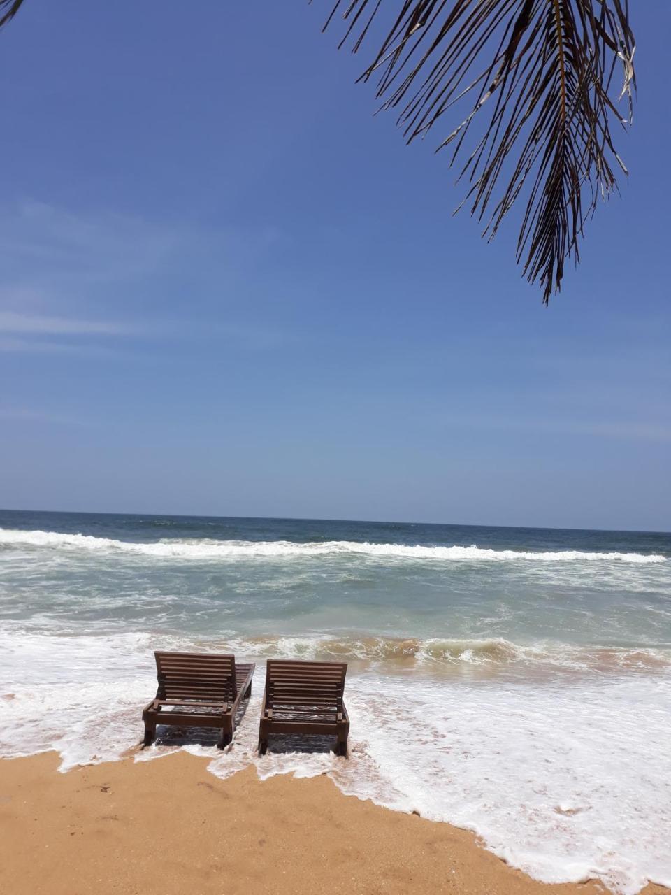 Arcade Beach Hotel 벤토타 외부 사진